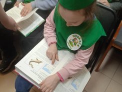 img (3)